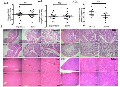 Frontiers | Safety Evaluation Of A Novel Strain Of Bacteroides Fragilis